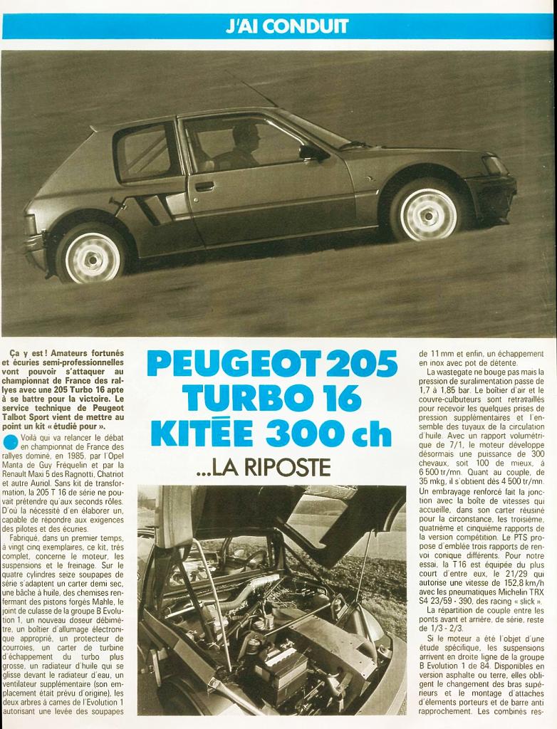205 T16 KIT 300 CV 1.jpg
